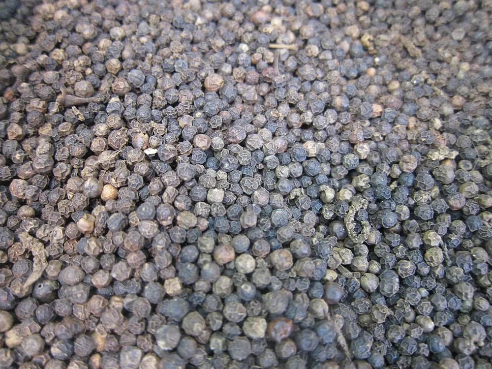 Dried black peppercorns in close-up