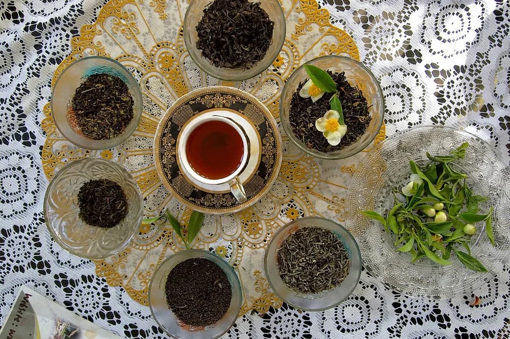Loose-leaf Darjeeling tea varieties